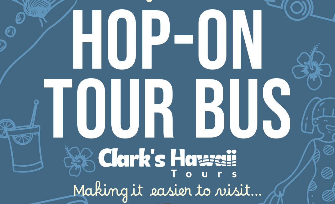 Discover the New Hop-On Tour Bus Stopping at Coconut Marketplace!